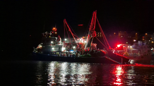Tekirdağ'da balıkçılar "Vira Bismillah" dedi
Balık sezonu dualarla açıldı, limanda balık kuyruğu oluştu