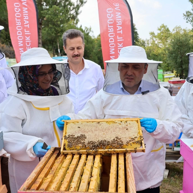 Bilecik'te 22 bin 500 kovandan 135 ton bal üretiliyor