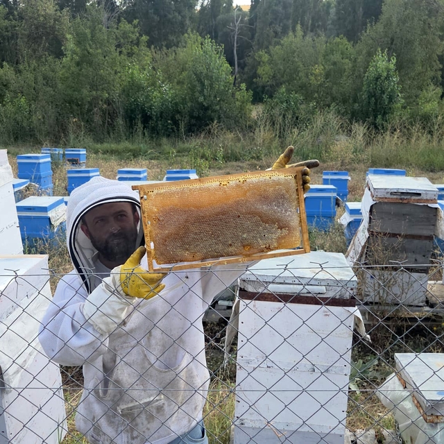 Hobi olarak 3 kovanla başladı, şimdi 250 arı kovanı var