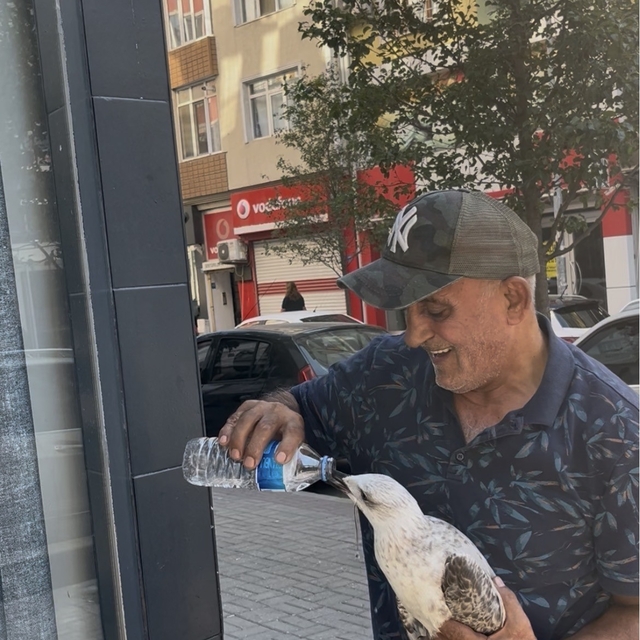 Tekirdağ'da bitkin düşen martı kolunu ısırdı şefkatini eksik etmedi