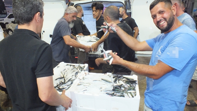 Balık avı sezonu açıldı, Bandırma Balık Hali'nde yoğunluk yaşandı