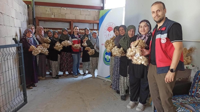 Domaniç'te sarımsak üreticilerine organik tarım desteği
