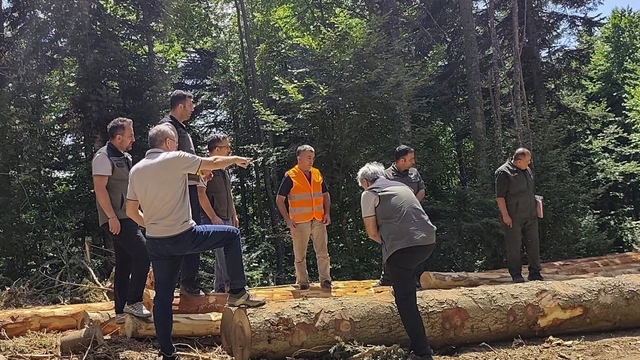 Bolu'da ormancılık faaliyetlerine saha denetimi