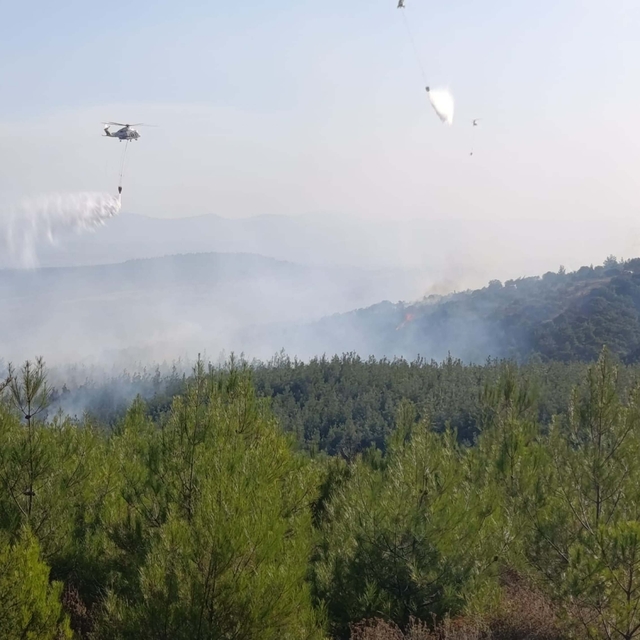 Çanakkale'deki orman yangınında 8 hektar alan zarar gördü