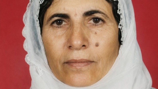 Mardin'de eve giren maskeli kişilerin saldırısına uğrayan yaşlı kadın ağır yaralandı