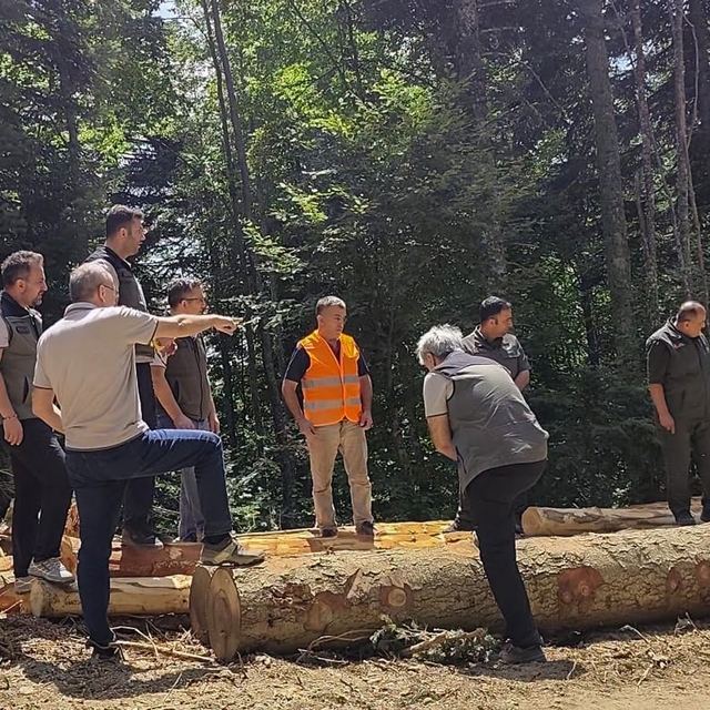 Bolu'da ormancılık faaliyetlerine saha denetimi