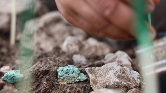 Çayönü Tepesi'nde 9 bin yıllık madencilik işliği ortaya çıkarıldı
Çayönü Tepesi'nde madencilik tarihine ışık tutacak "malakitler" ve "bakır nesneler" bulundu
Kazı Başkanı Doç. Dr. Savaş Sarıaltun:
"MÖ 6900-6800'lere ait bir işlik alanının bu yıl tespit edilmesi sayesinde Çayönü'nün madencilik tarihini bir tık daha günümüze doğru getirmeye yaklaştık"
"Çayönü ahalisi madencilikle ilgili nitelikli bir şekilde faaliyetler yürütmüş. Bunu da en az mimarisi kadar özen göstererek, işliklerinin gölgesine kadar düşünerek dikme delikleriyle bir gölgelik yaptıklarını söyleyebiliriz"