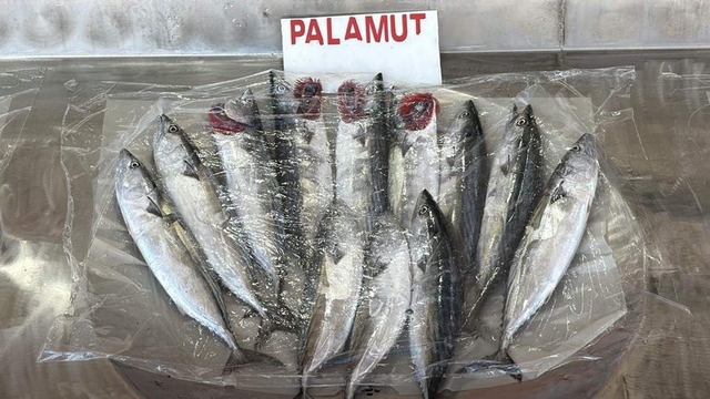 Galeri