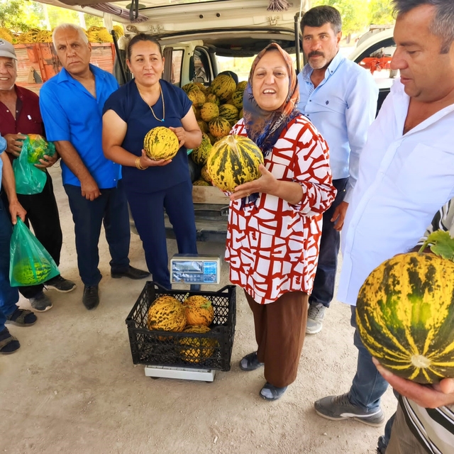 Bu kavun tek damla su verilmeden yetişiyor
Evciler'in gizli mirası 'bal' ka...