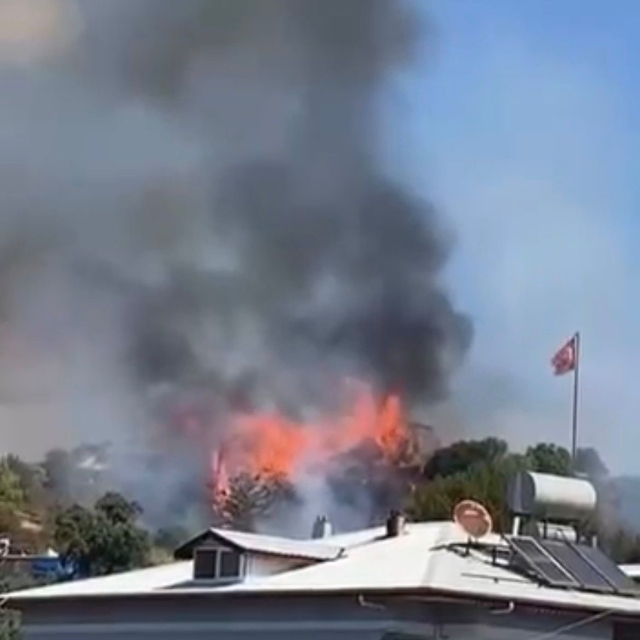 Alanya'da ağaçlık alanda çıkan yangında 10 dönüm alan ve sera zarar gördü