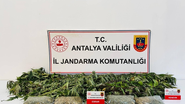 Alanya'da uyuşturucu operasyonunda 24 kök kenevir ve 2 kilo 642 gram esrar ele geçirildi