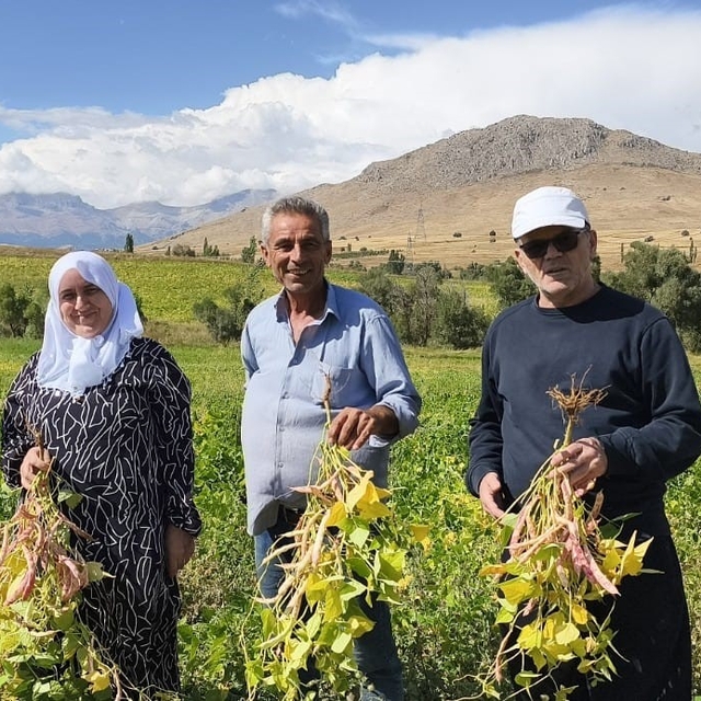 Coğrafi işaretli kuru fasulye hasadı başladı
Kuru fasulye tarlada kilosu 10...