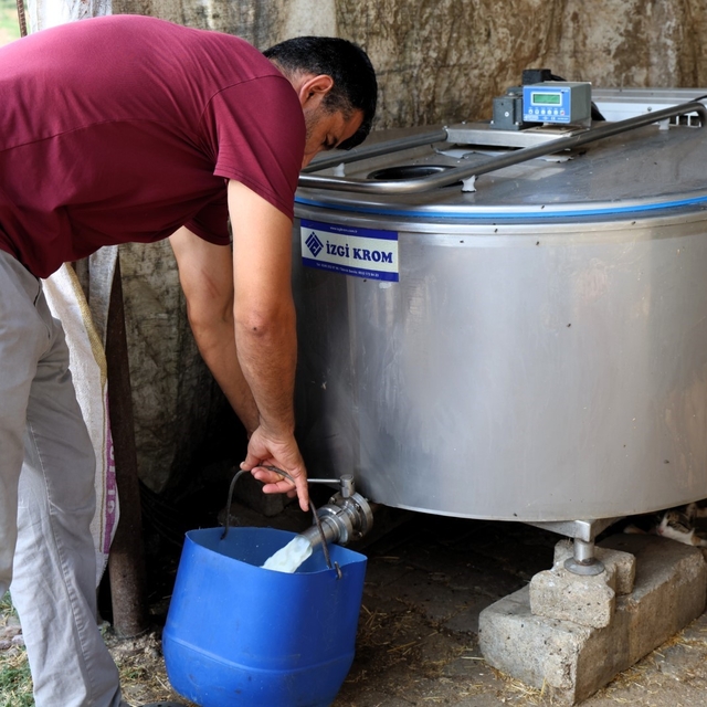 Soğutma tankları süt üreticisinin maliyetini düşürdü