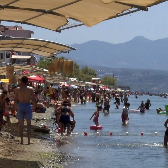 Deniz sezonunun bitmesine yakın Bursa'nın sahillerinden sevindiren haber