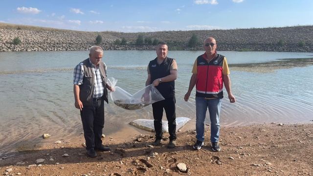 Beyşehir ve Hüyük'ün göletlerine balık bırakıldı