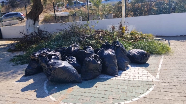 Bodrum'da ot temizliği çalışmaları sürüyor
