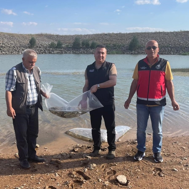 Beyşehir ve Hüyük'ün göletlerine balık bırakıldı