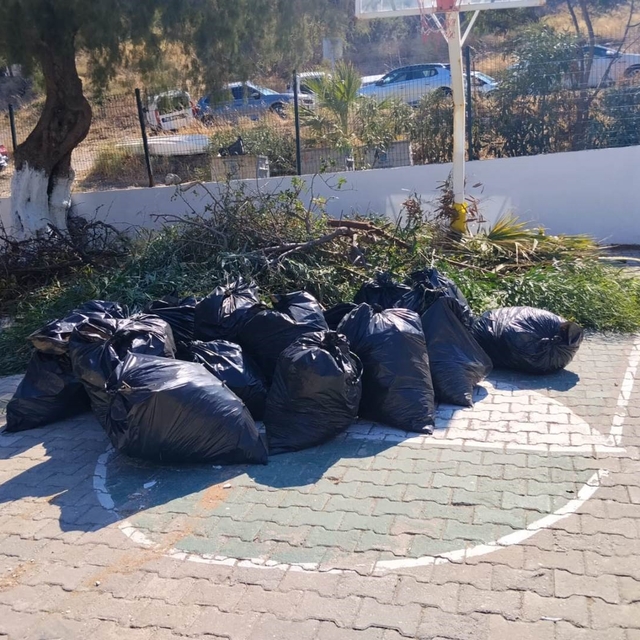 Bodrum'da ot temizliği çalışmaları sürüyor