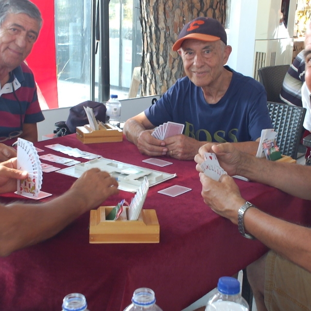 Balıkesir'de briçte Zafer Kupası düzenlendi