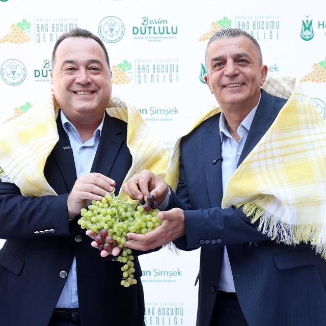 Şehzadeler'de 4 gün sürecek bağ bozumu coşkusu başlıyor