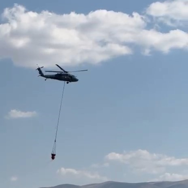 Elazığ'daki orman yangınına havadan müdahale başladı