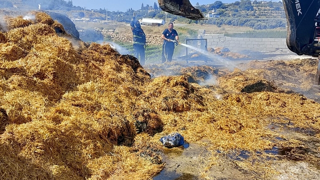 Tarsus'ta saman balyalarının olduğu alanda yangın