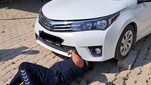 Antakya ve İskenderun'da araçlarda mahsur kalan kediler kurtarıldı