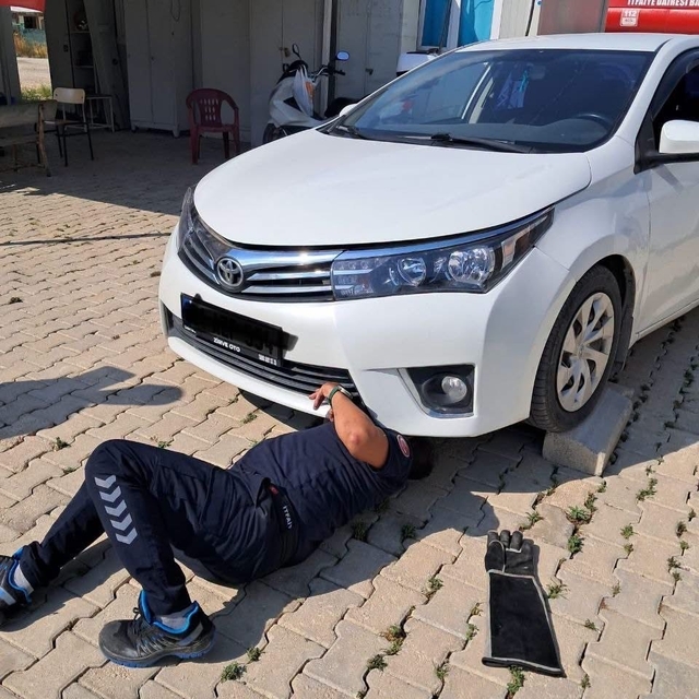 Antakya ve İskenderun'da araçlarda mahsur kalan kediler kurtarıldı