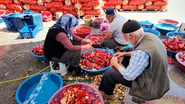 Niğde'de kışlık salça mesaisi başladı
