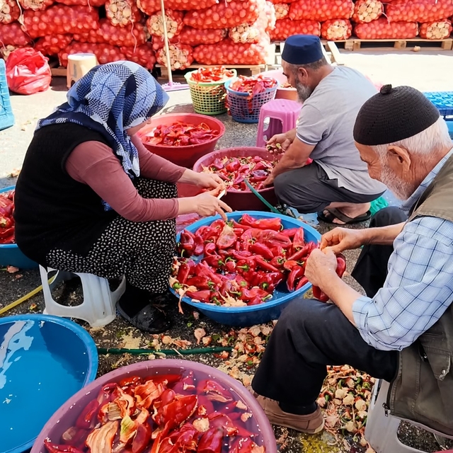 Niğde'de kışlık salça mesaisi başladı