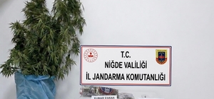 Niğde'nin Bor ilçesinde uyuşturucu operasyonu