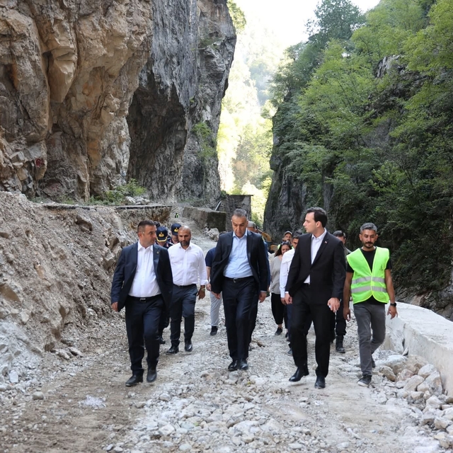Vali Çağatay, Yenice ilçesinde incelemelerde bulundu