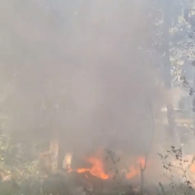Bursa'da facia vatandaşlar tarafından önlendi: O anlar kamerada
Bursa'da or...