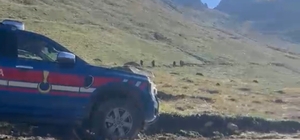 Kaçkar Dağı'nda kaybolan İngiliz turist için kurtarma çalışması başlatıldı