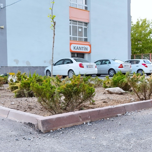 Büyükşehirden eğitime 'yeşil' dokunuş: 3 okulun çehresi değişti