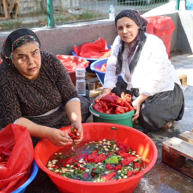 Damlar şarkılı türkülü salça mesaisi ile kırmızıya boyandı
Adana'da damlar...