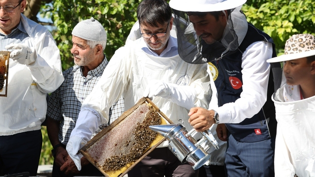 Büyükşehir ve üretici el ele
Bursa'da bal hasadı başladı
Büyükşehir'den arı yetiştiricilerine kovan desteği