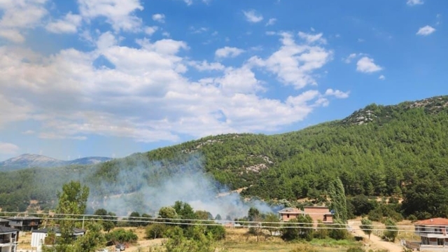 Menteşe'de otluk alanda yangın
