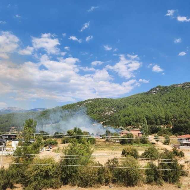 Menteşe'de otluk alanda yangın