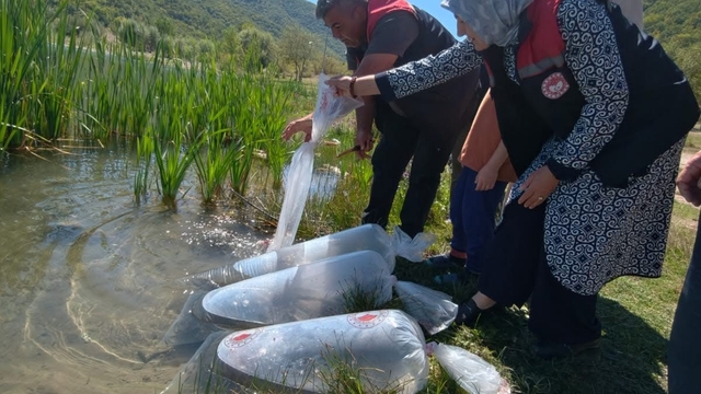 Karabük'teki göletlere 105 bin yavru balık bırakıldı