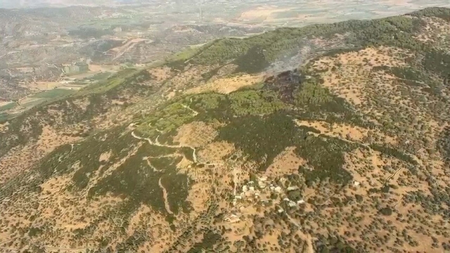 Aydın'da orman yangını (2)
