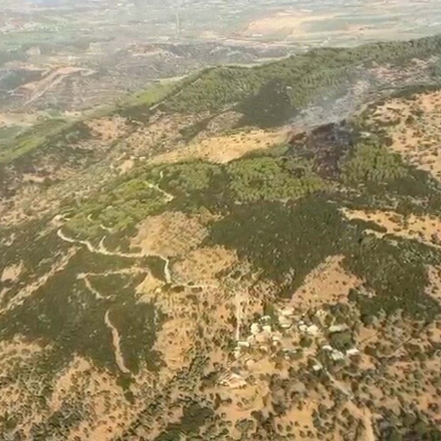 Aydın'da orman yangını (2)