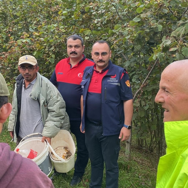 Ordu'da kayıp kişi için arama çalışması başlatıldı (2)