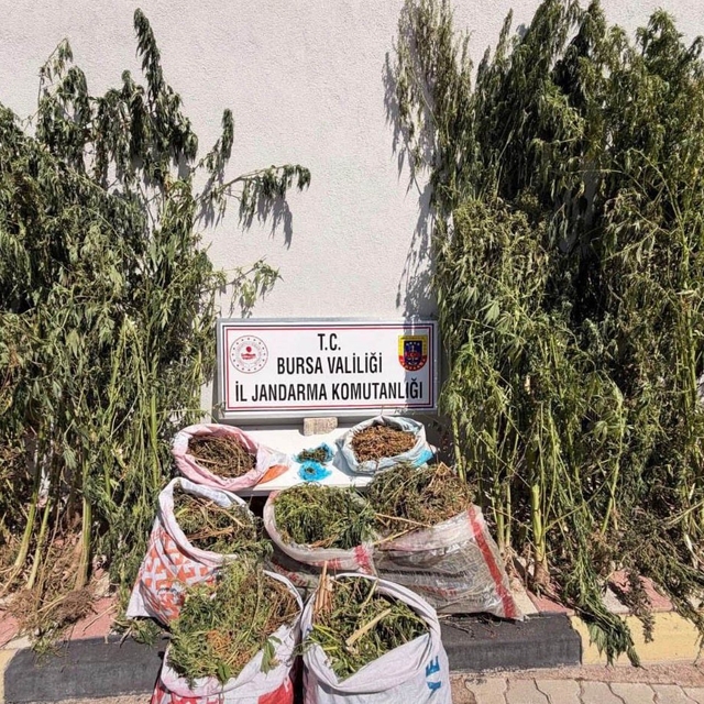 Bursa'da uyuşturucu operasyonu: 22 kilo 675 gram esrar ele geçirildi