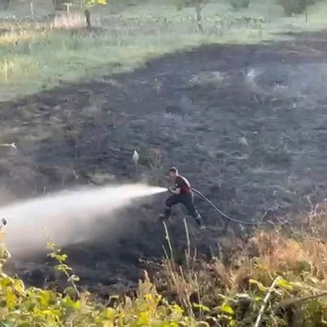 Tarlada yakılan ateş otluk alana sıçradı: 4 dönüm alan zarar gördü