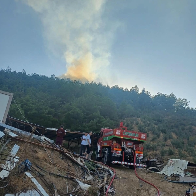 Hatay'da orman yangını