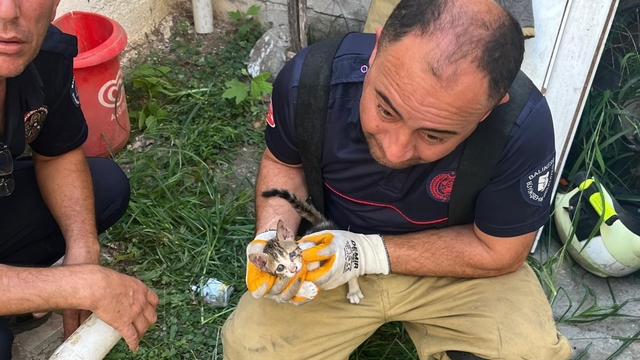 Erdek'te iki bina arasına sıkışan yavru kedi kurtarıldı
