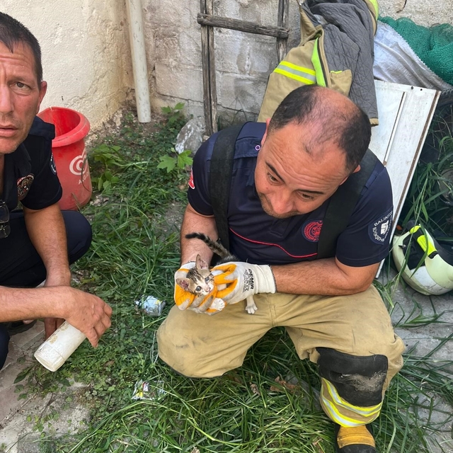 Erdek'te iki bina arasına sıkışan yavru kedi kurtarıldı