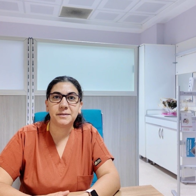 Tunceli'de anne ve bebek sağlığı için gebelere yakın takip