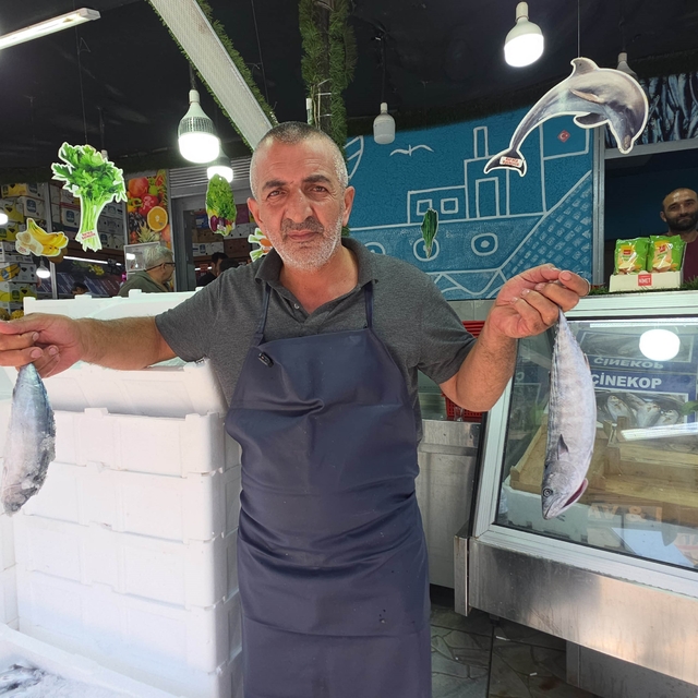 Düzce'de palamut tezgaha indi, vatandaş sıraya girdi
"Anne sütünden sonra e...